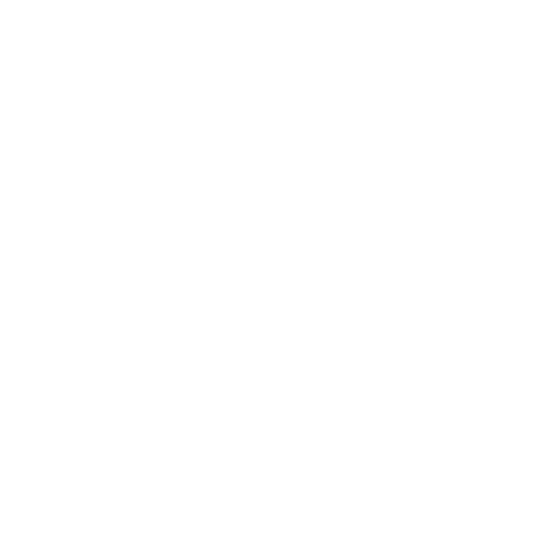 rinnen-de-startseite-intermodal-icon